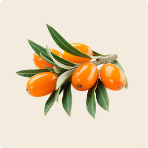 Sea Buckthorn