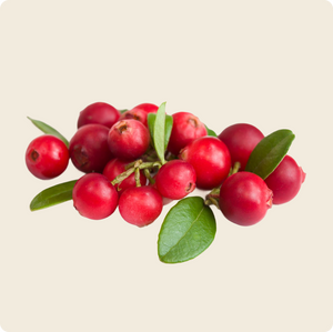 Cranberry Extract